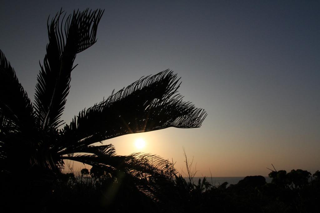 Joya Otel Ishigaki  Dış mekan fotoğraf